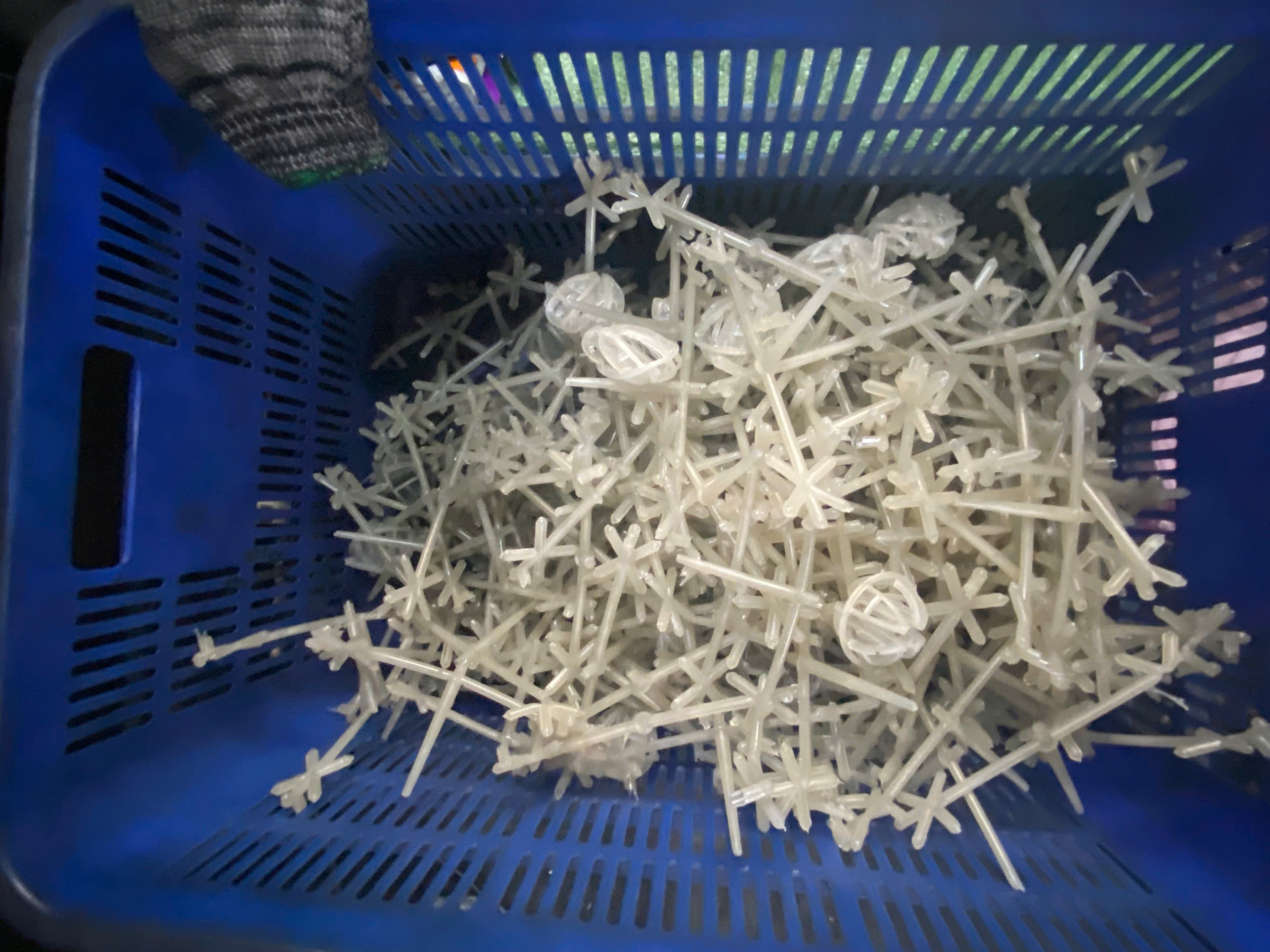 Scrap 1.jpg
